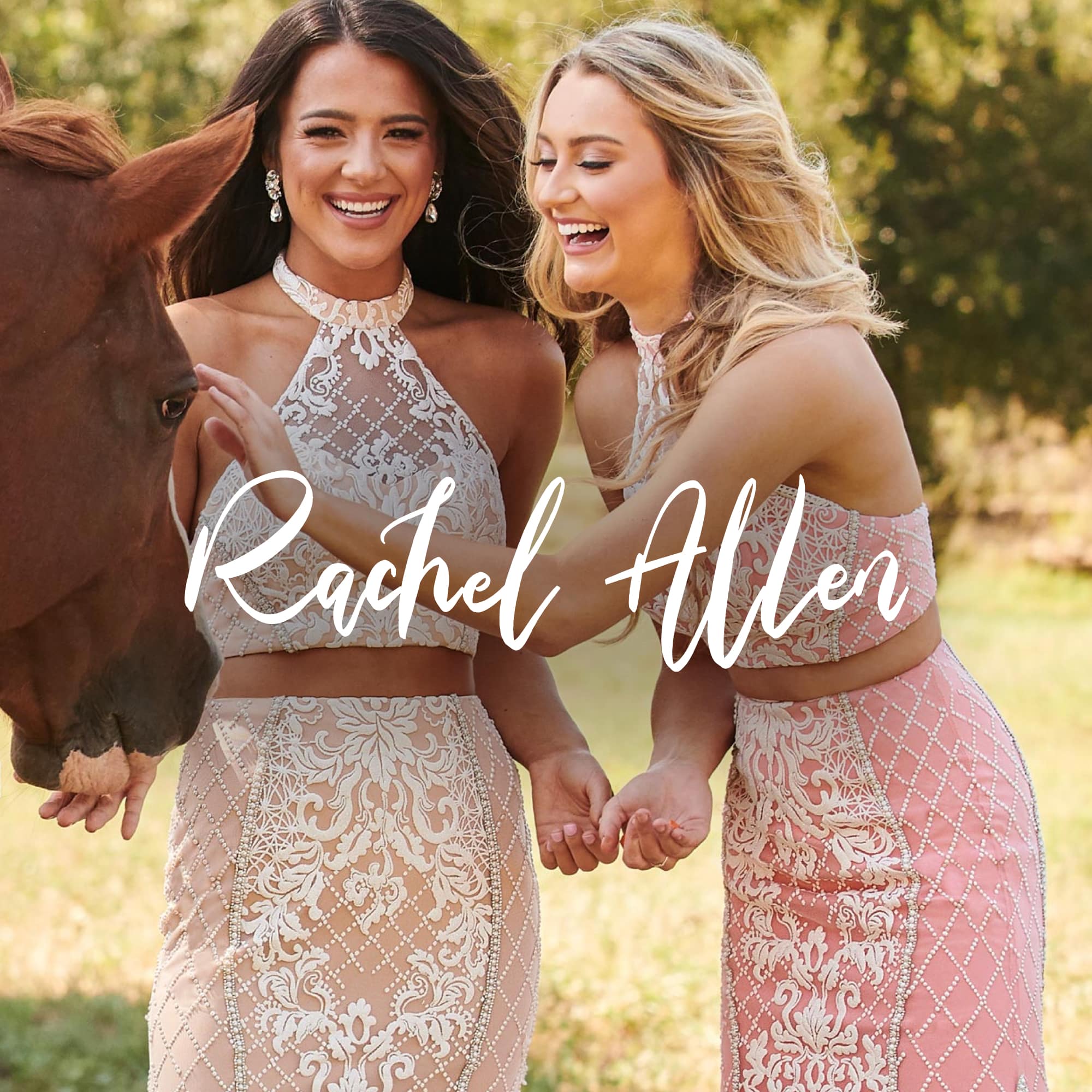 Gallery Image #slidesGrid1