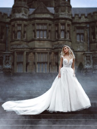 Disney Fairy Tale Weddings Style #D313 #0 default thumbnail
