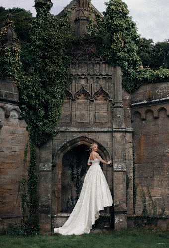 Disney Fairy Tale Weddings Style #D323 Cinderella #1 default Ivory/Nude Only thumbnail