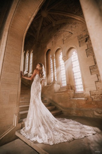 Disney Fairy Tale Weddings Style #D371 #21 Nude/Champ/IV/Mocha thumbnail