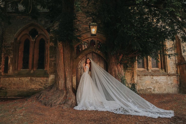 Disney Fairy Tale Weddings Style #DP307 Default Thumbnail Image