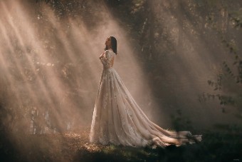 Disney Fairy Tale Weddings Style #DP355 #15 Mocha/Champ/Ivory/Nude thumbnail