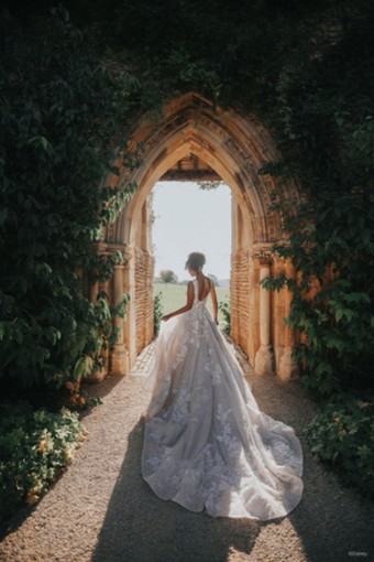 Disney Fairy Tale Weddings Style #DP358 #11 Ivory/Nude thumbnail