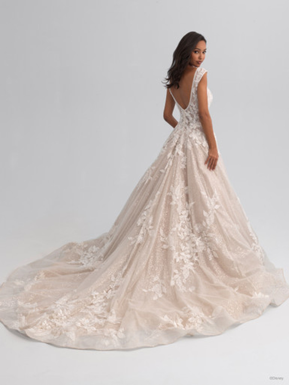 Disney Fairy Tale Weddings | Bri'Zan Couture - DP358 | Bri
