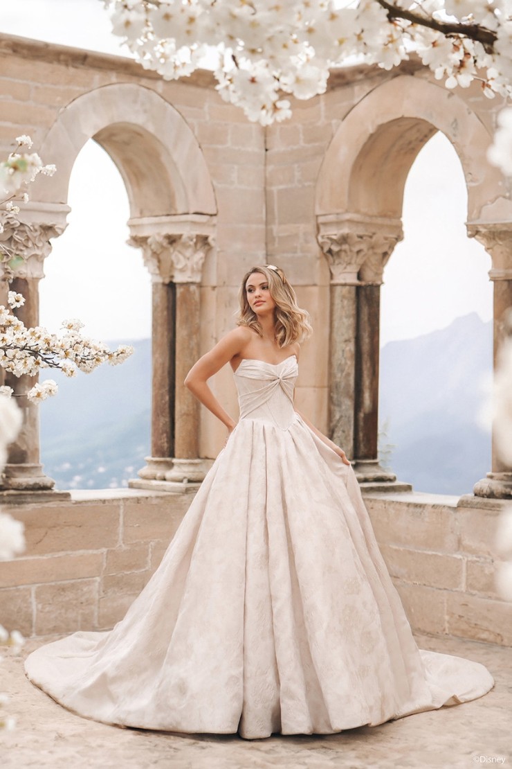 Disney Fairy Tale Weddings Style #D431A Default Thumbnail Image