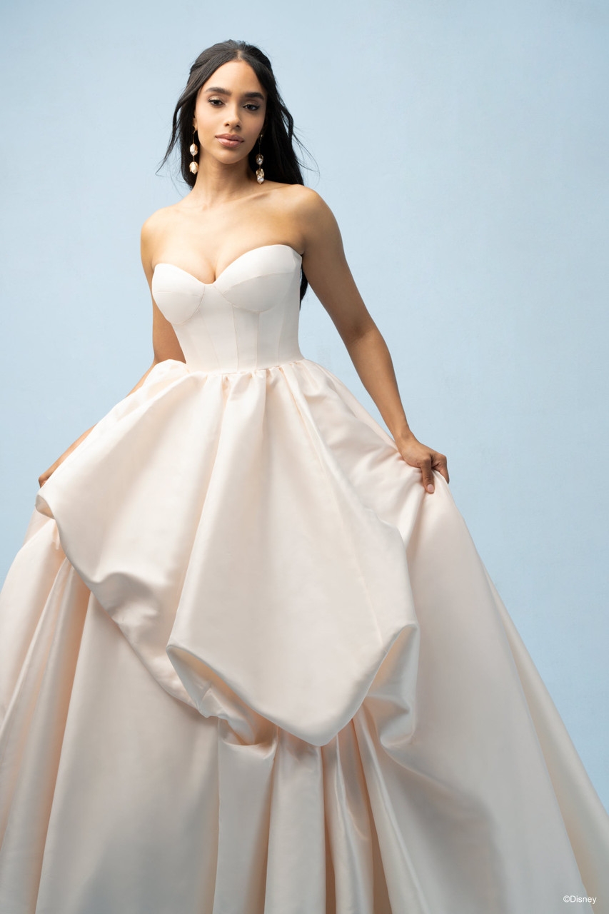 Disney Fairy Tale Weddings | Bri'Zan Couture - D432 | Bri'Zan Couture