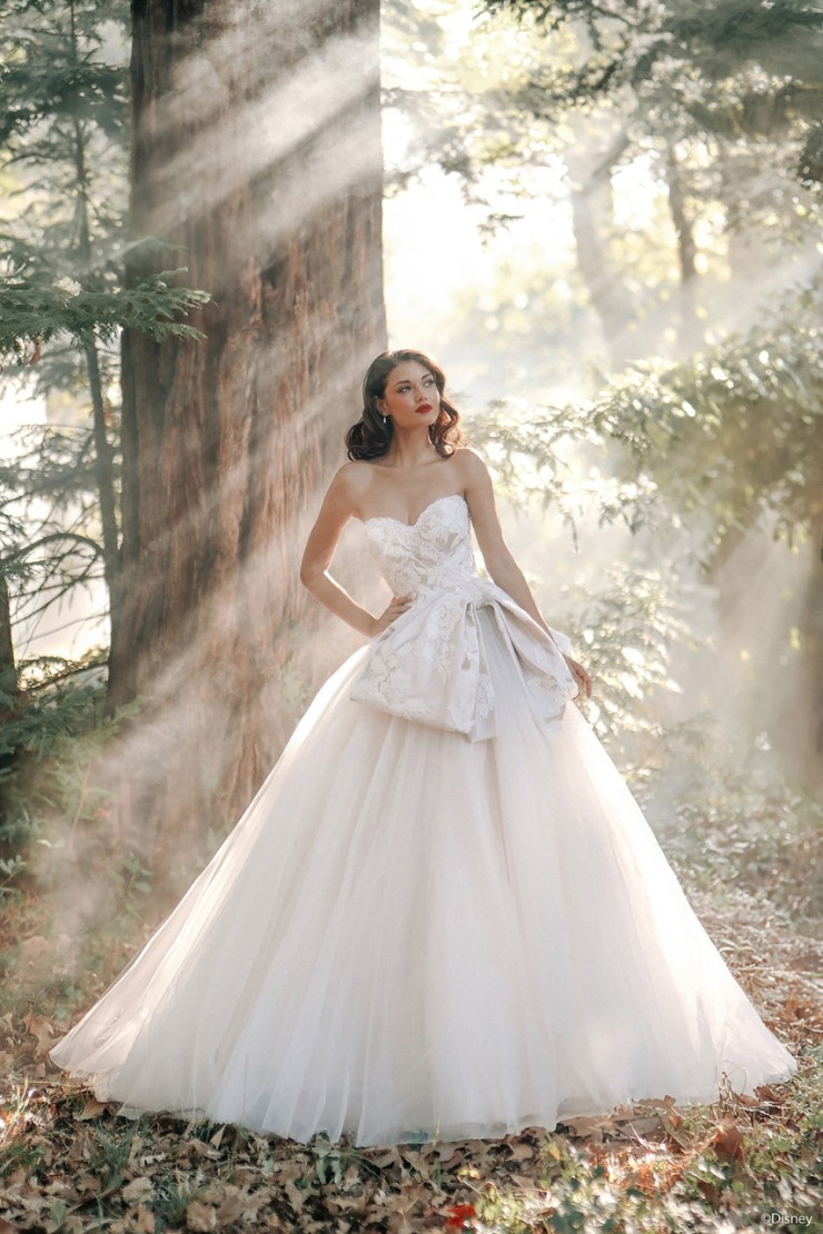 Disney Fairy Tale Weddings Style #D437 Default Thumbnail Image