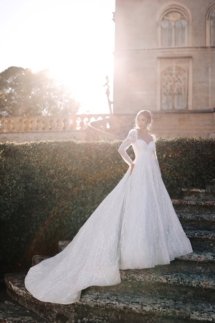 Disney Fairy Tale Weddings Style #DP423 Default Thumbnail Image