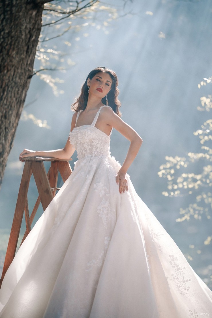 Disney Fairy Tale Weddings Style #DP427 Default Thumbnail Image