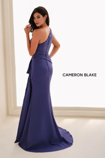 Cameron Blake Style #CB822 #3 default Delphinium thumbnail