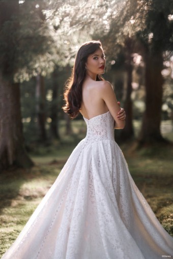 Disney Fairy Tale Weddings Style #D467 #1 Ivory/Champagne thumbnail