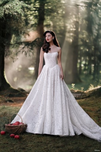 Disney Fairy Tale Weddings Style #D467 #0 default Ivory/Champagne thumbnail