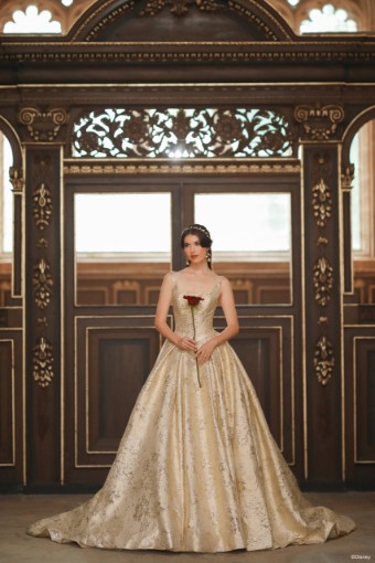 Disney Fairy Tale Weddings Style #D472 #0 default Gold Only thumbnail