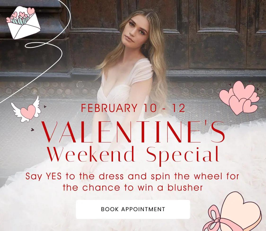 Valentine's Weekend Sale at Bri'Zan Couture in IL